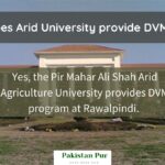 dvm in arid agriculture university rawalpindi
