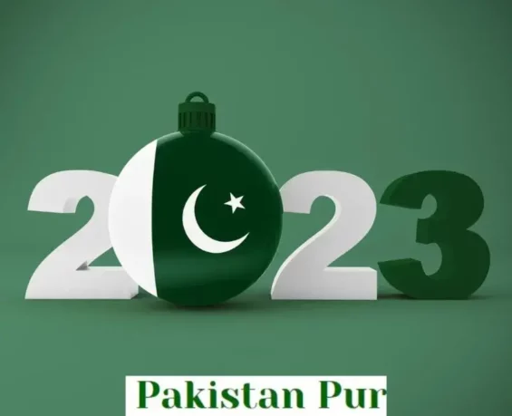 Pakistan national elections 2023