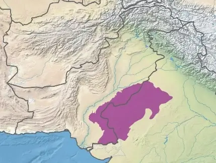 Thar desert area in Pakistan and India 1