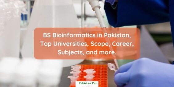 bs bioinformatics pakistan