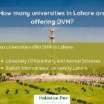 how many universities in lahore are offering dvm