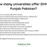 how many university offer dvm in punjab pakistan