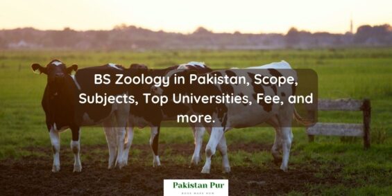 BS Zoology in Pakistan