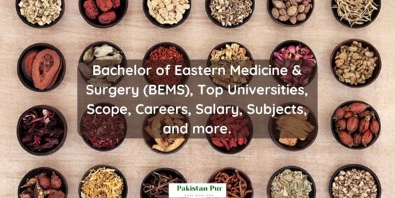 bachelor of eastern medicine and surgery