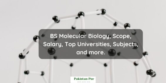 bs molecular biology and biotechnology