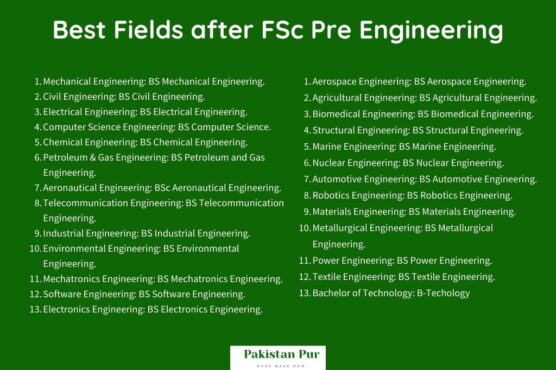 after fsc pre engineering fields in pakistan