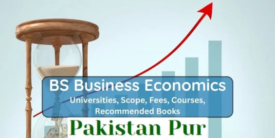 BS business economics in Pakistan