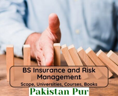 BS Insurance and Risk Management