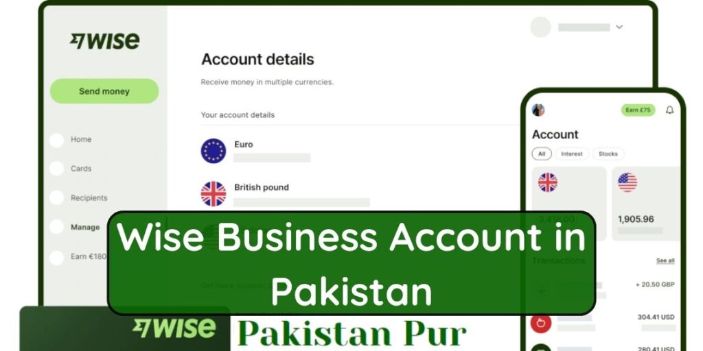 Wise business account in Pakistan
