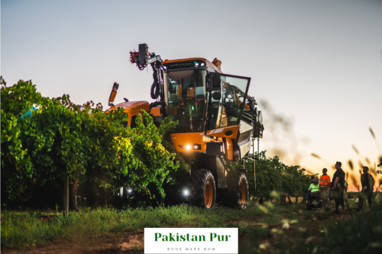 agricultural engineering salary in pakistan