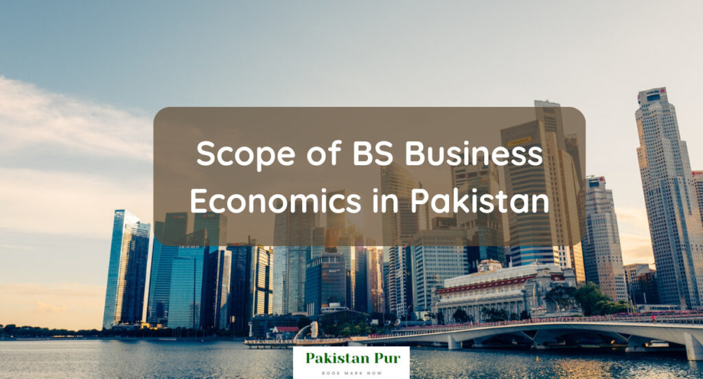 Scope of BS Business Economics in Pakistan