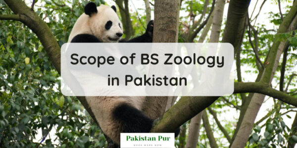 best research topics in zoology in pakistan