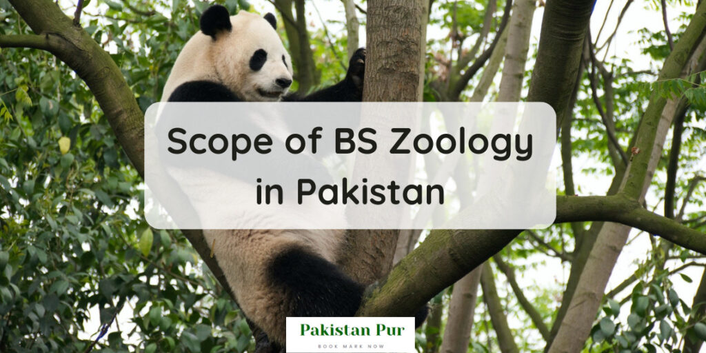Scope of BS Zoology in Pakistan